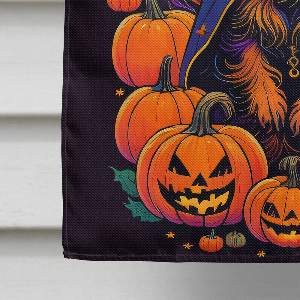 Australian Terrier Witchy Halloween House Flag-3